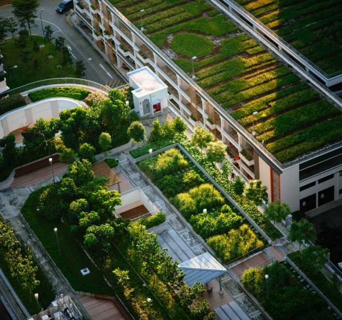 top view of building with trees