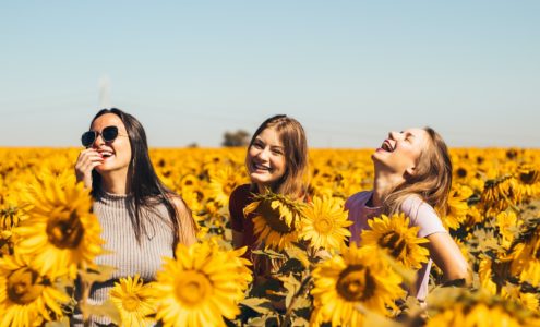woman in white and black striped shirt standing on yellow sunflower field during daytime